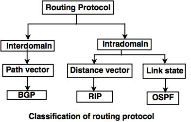 classification of routing protocol