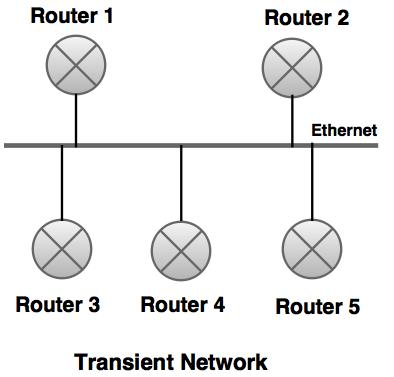 transient network