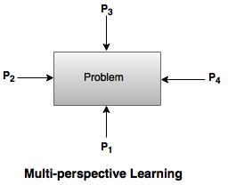 multi perspective learning