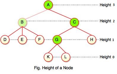 height of node