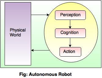 autonomous robot