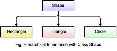 hierarchical inheritance example