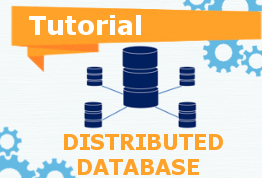 Architectures of Distributed DBMS